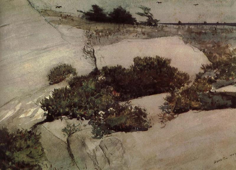 Winslow Homer Maine cliffs Spain oil painting art